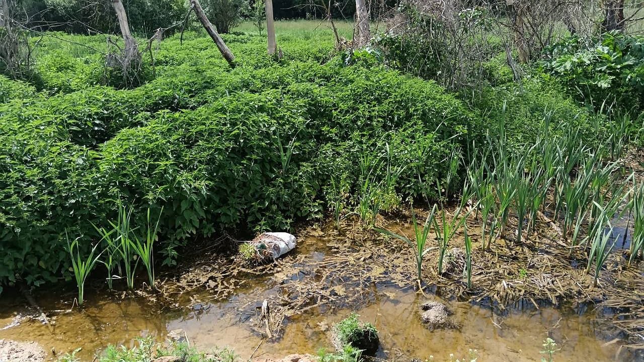 Главная картинка новости: Болото появилось возле трассы М3 в Калужской области