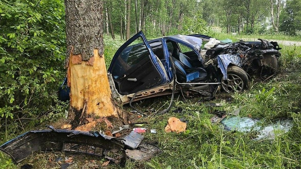 Главная картинка новости: Жесткое ДТП в Калужской области: иномарка перевернулась в кювет