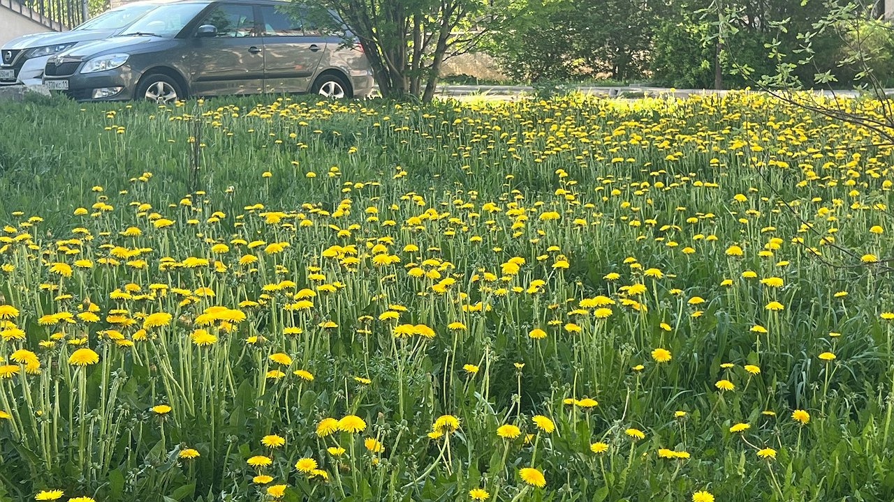 Главная картинка новости: В Калужской области потеплело до +23 градусов