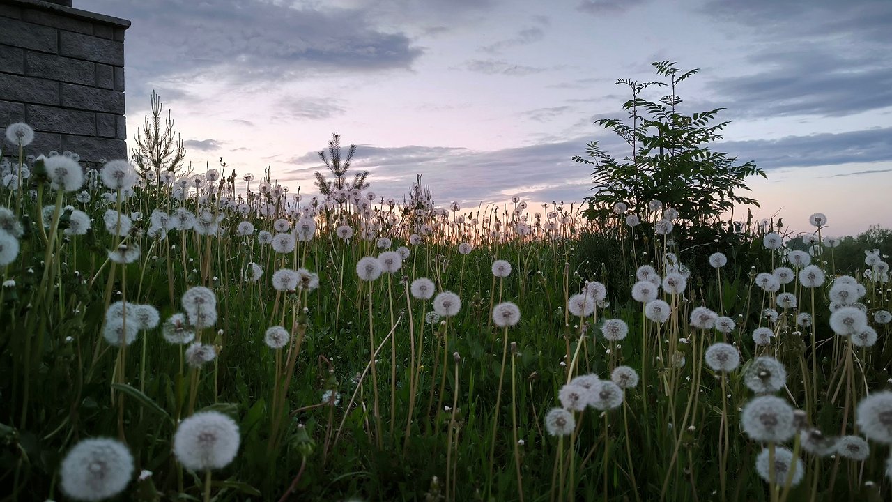 Главная картинка новости: Сегодня в Калужской области будет жарко, но комфортно