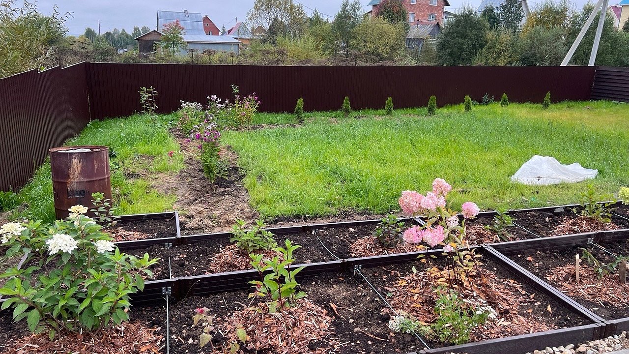 Главная картинка новости: Стимулируем рост свёклы: июньские подкормки для увеличения размеров корнеплодов