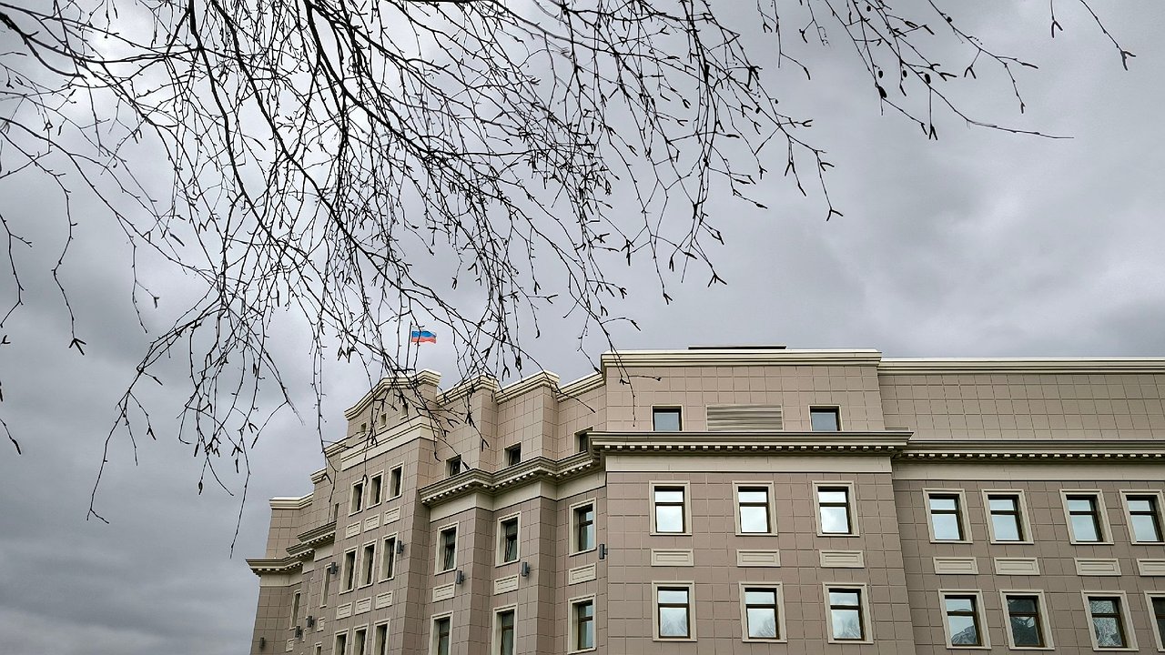 Главная картинка новости: Бастрыкин призвал запретить никаб в РФ 