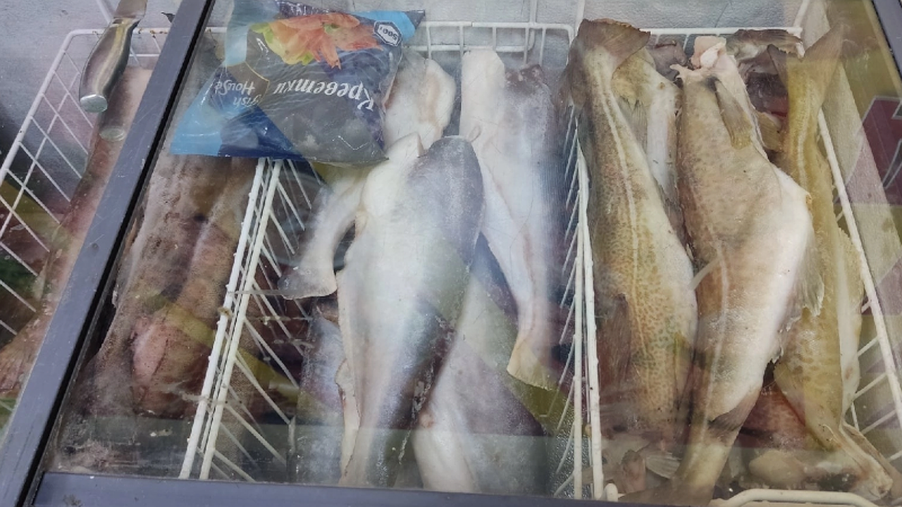 Главная картинка новости: Названа самая полезная для человека рыба - ешьте дважды в неделю, богата селеном, кальцием и хороша