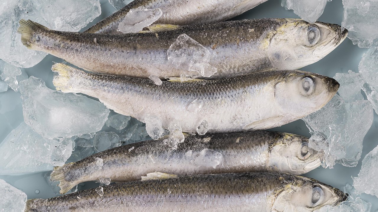 Главная картинка новости: Рыба, которую вообще нельзя есть: а мы едим еще и детям даем - в ней живут паразиты