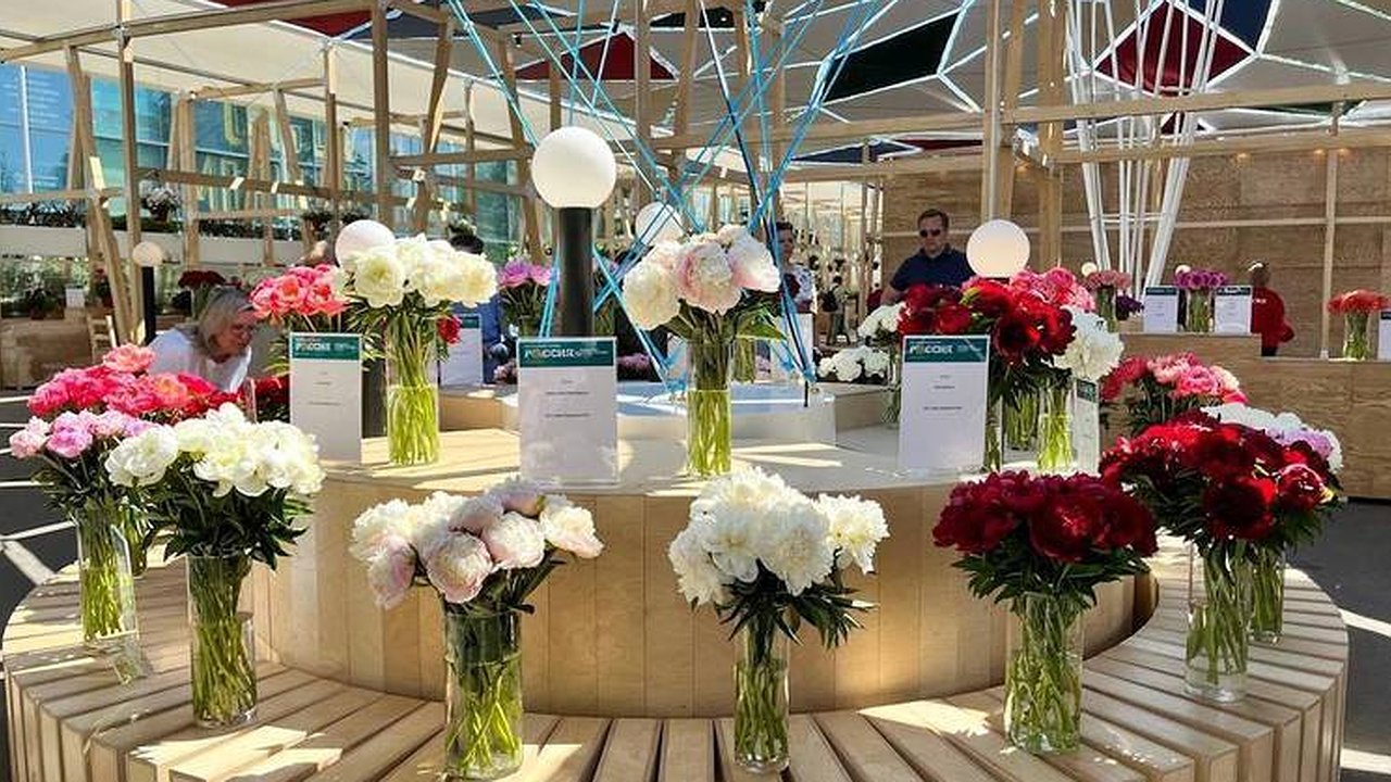 Главная картинка новости: Четверть всех тепличных цветов в России выращивается в Калужской области