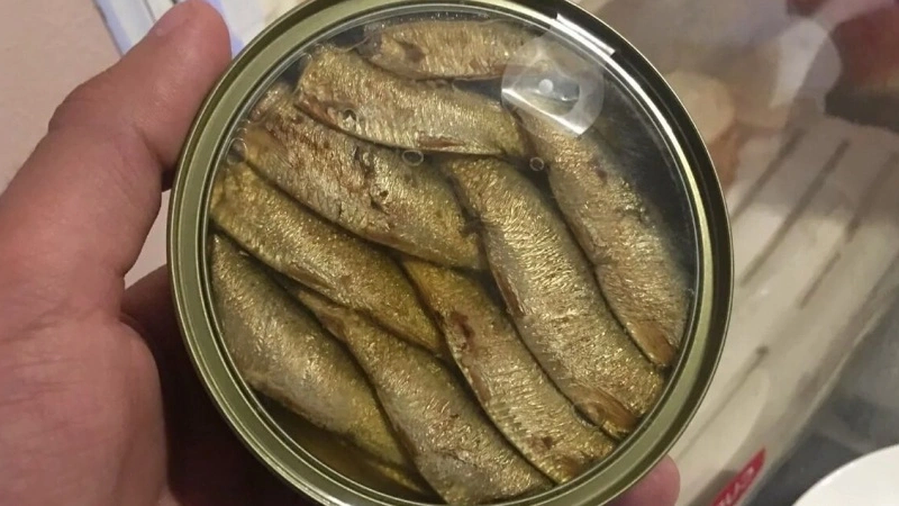 Главная картинка новости: Названа самая полезная для человека рыба - ешьте дважды в неделю, насыщенна селеном и фосфором