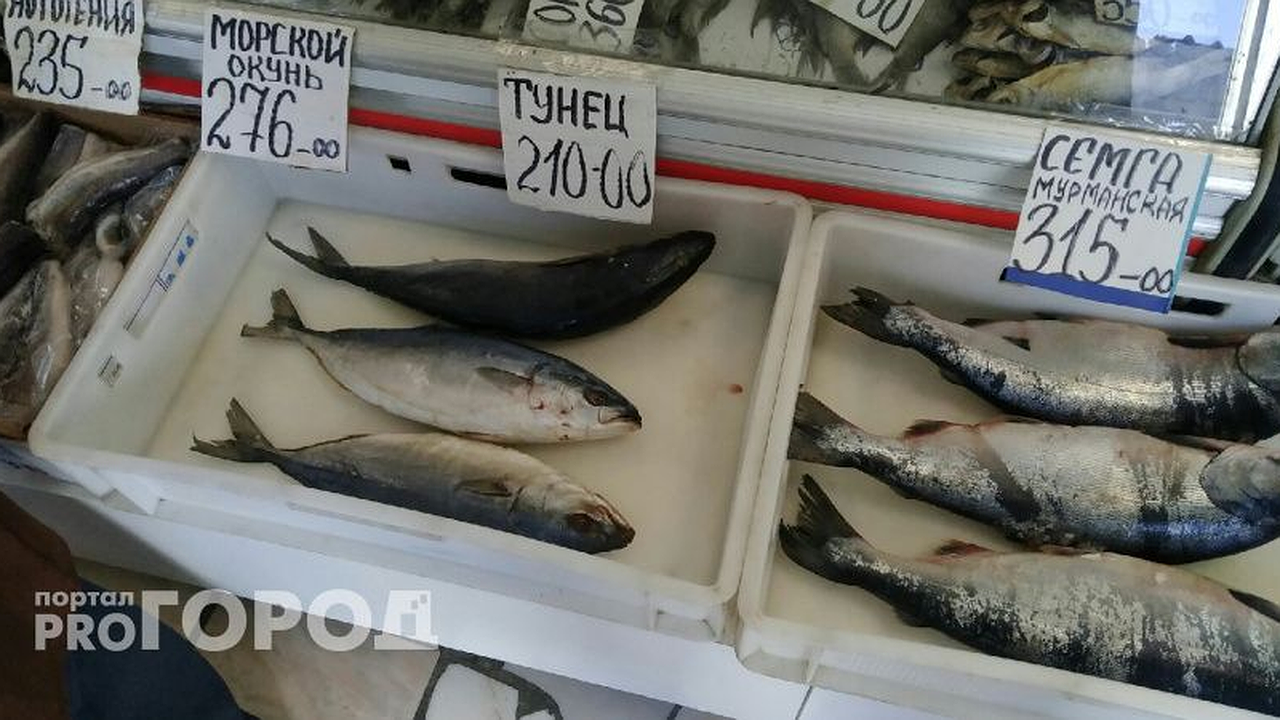 Главная картинка новости: Названа самая полезная для человека рыба - ешьте дважды в неделю, богата магнием и натрием