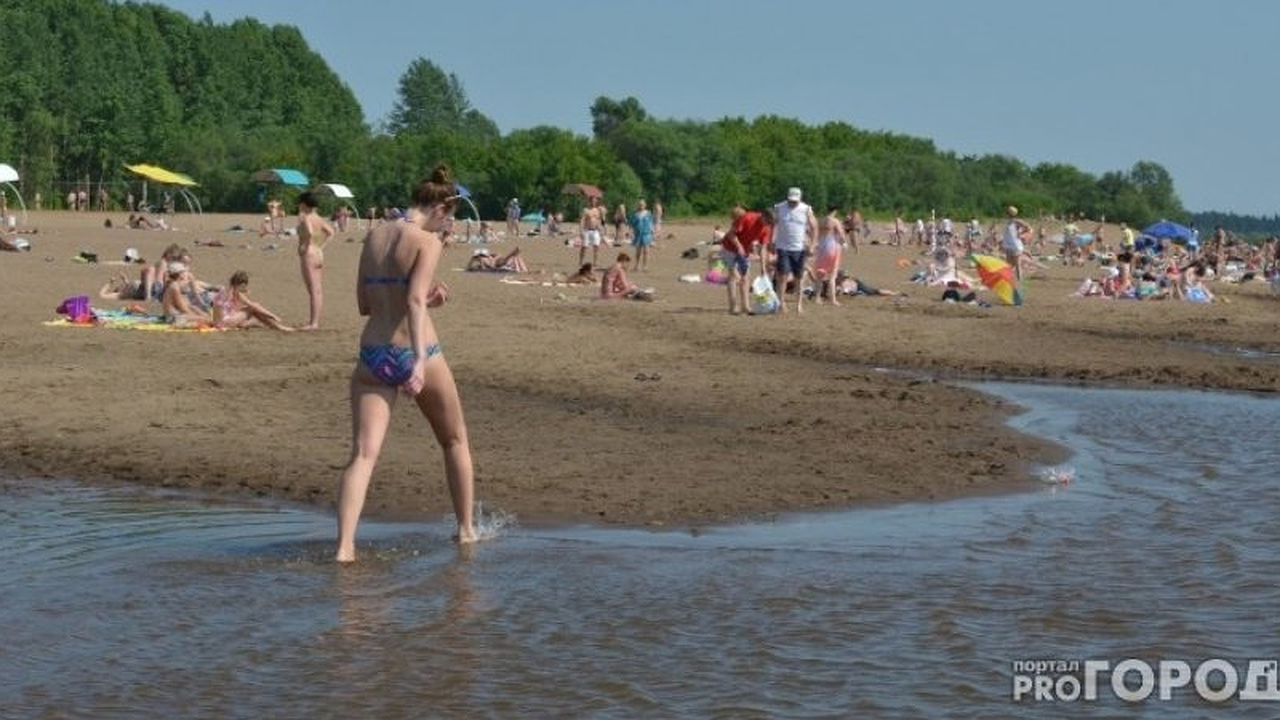 Главная картинка новости: «Не спасает ничего!» Туристы в Геленджике и Анапе массово жалуются на безвыходную ситуацию 