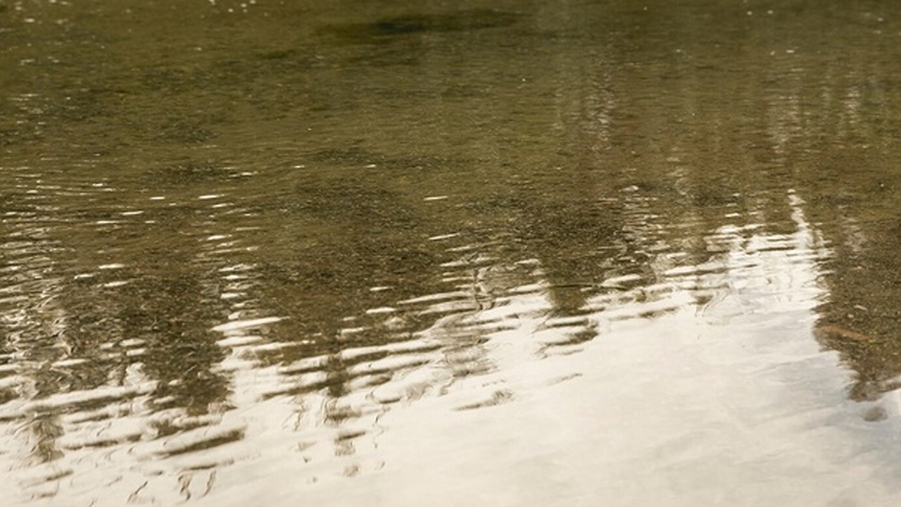 Главная картинка новости: Калужанам грозит тюрьма за незаконный вылов рыбы