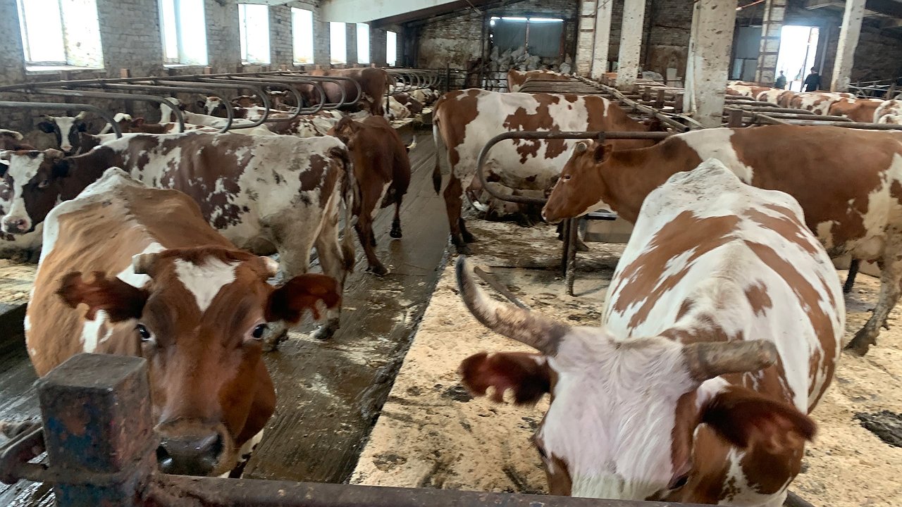 Главная картинка новости: В школах Калужской области откроют аграрные классы