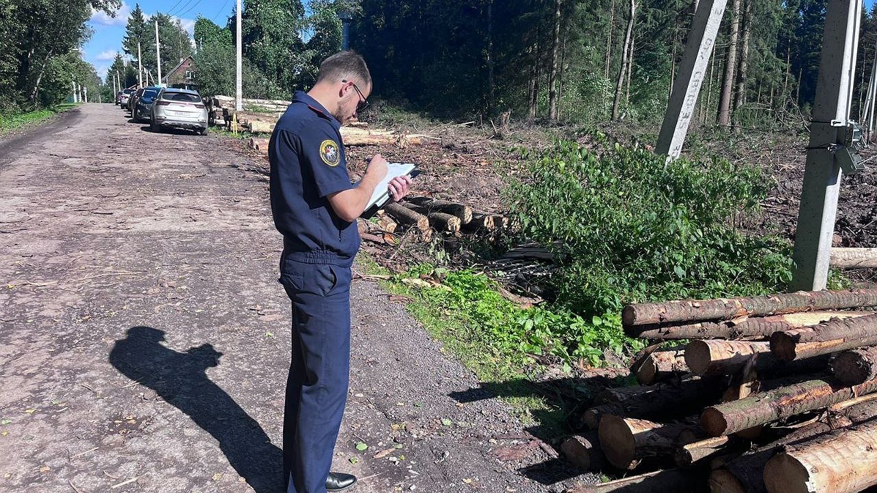 Главная картинка новости: Следственный комитет начал проверку правомерности масштабной вырубки леса в Боровском районе