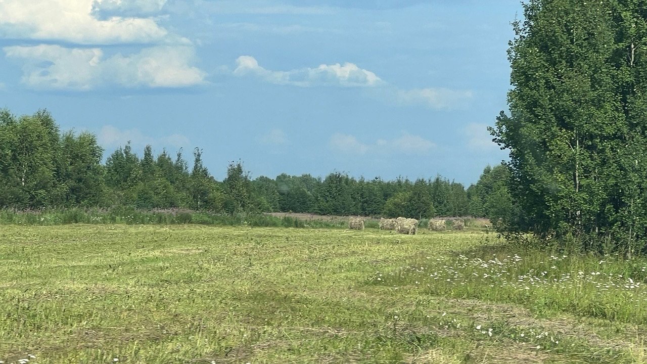 Главная картинка новости: Калужские сельхозпроизводители собрали порядка 50 тысяч тонн зерна