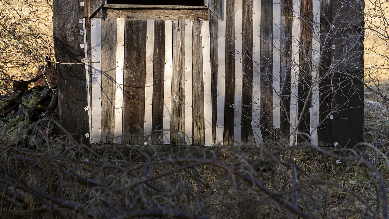 Главная картинка новости: Выгребную яму не откачиваю — больше не переполняется: сосед раскрыл простое решение — конец мучениям