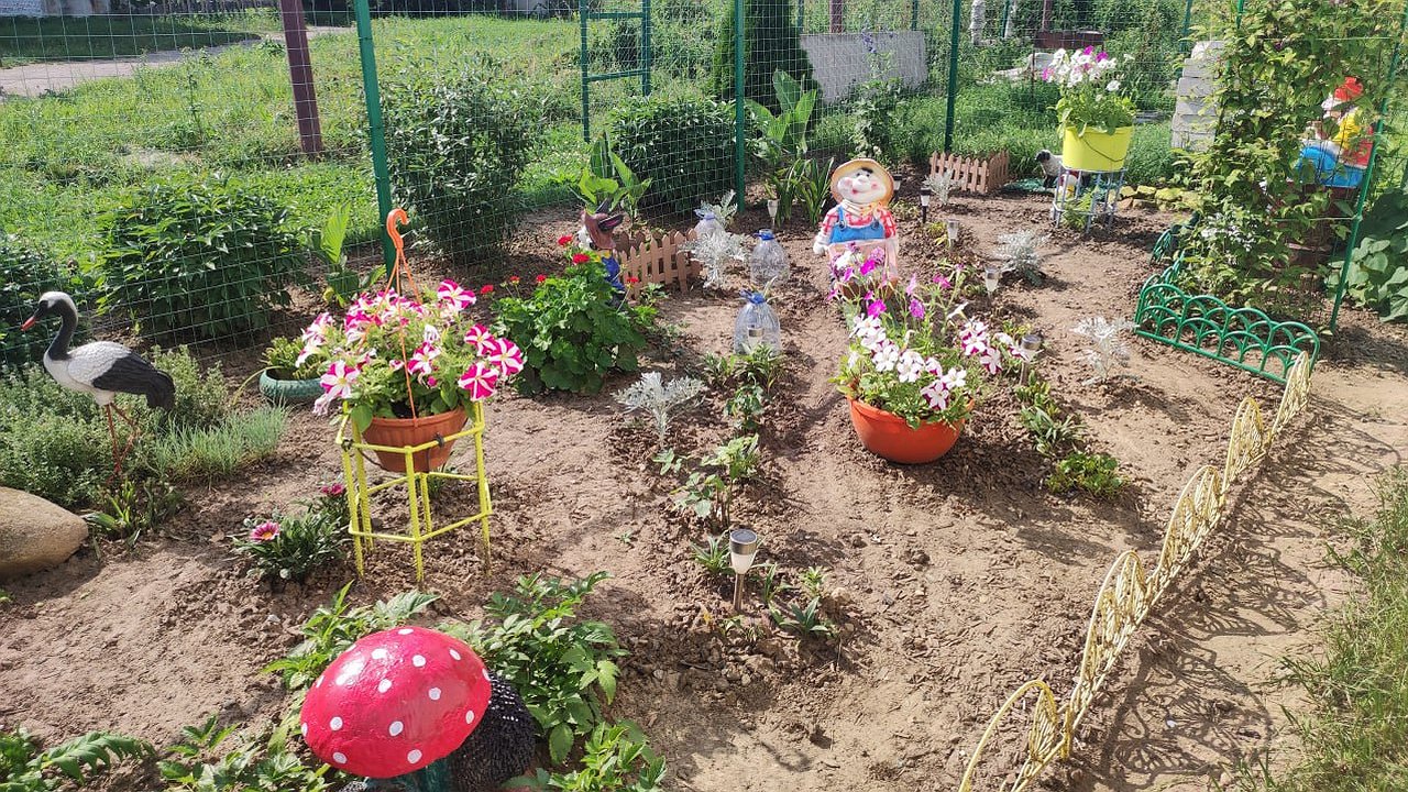 Главная картинка новости: В Калуге определили лучших цветоводов