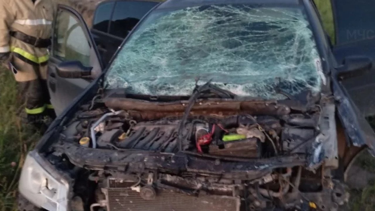 Главная картинка новости: В Калужской области легковушка улетела в кювет после столкновения с грузовиком: есть пострадавшие