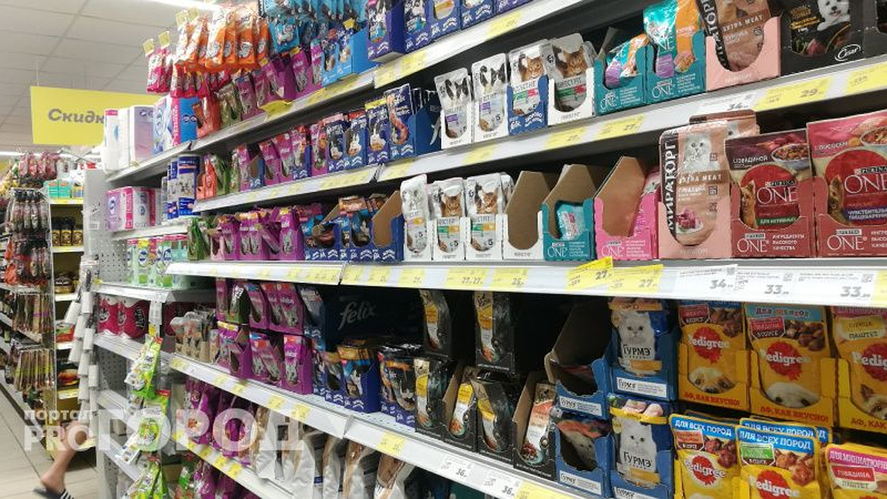Главная картинка новости: "Не травите этим кошек": в Роскачестве озвучили худшие марки корма для любимых питомцев