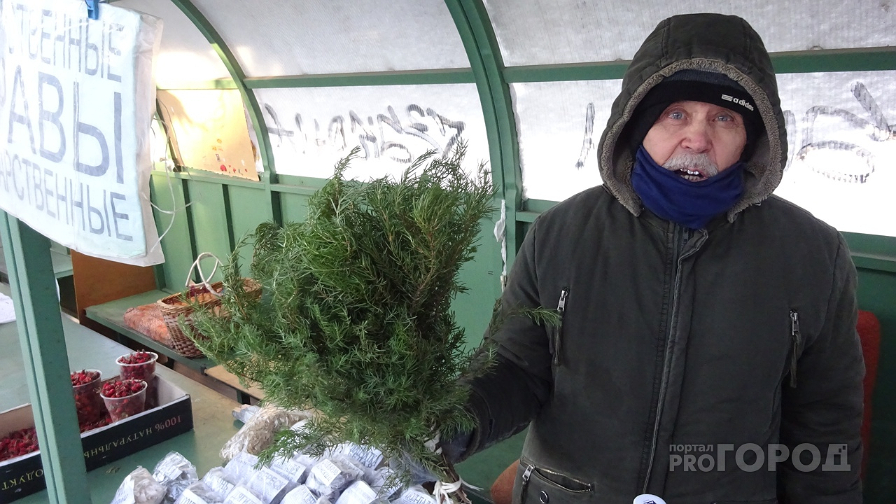 Главная картинка новости: Зелень больше не морожу и не сушу на зиму: делаю из укропа, петрушки и чеснока вкуснейшую приправу