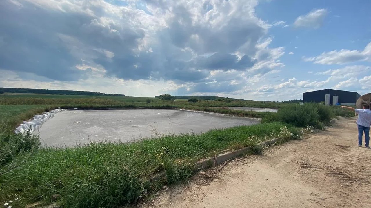 Главная картинка новости: В реке Сухиничского района Калужской области массово погибла рыба от удушья 