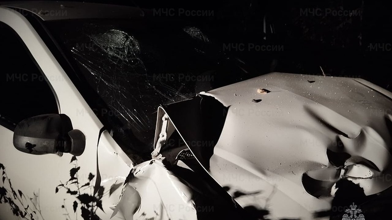 Главная картинка новости: В Калужской области иномарка "впечаталась" в дерево