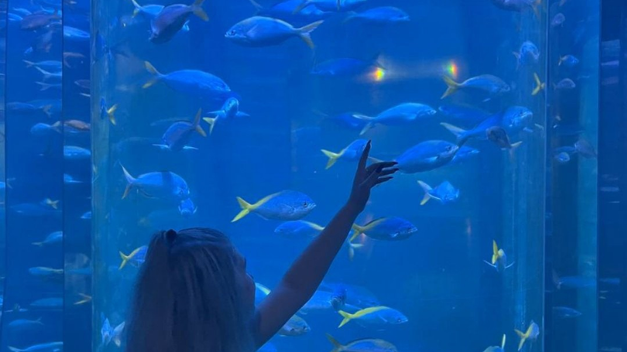 Главная картинка новости: Удача на 2 десятка лет вперед: Василиса Володина назвала самый удачливый знак на ближайшие 29 лет