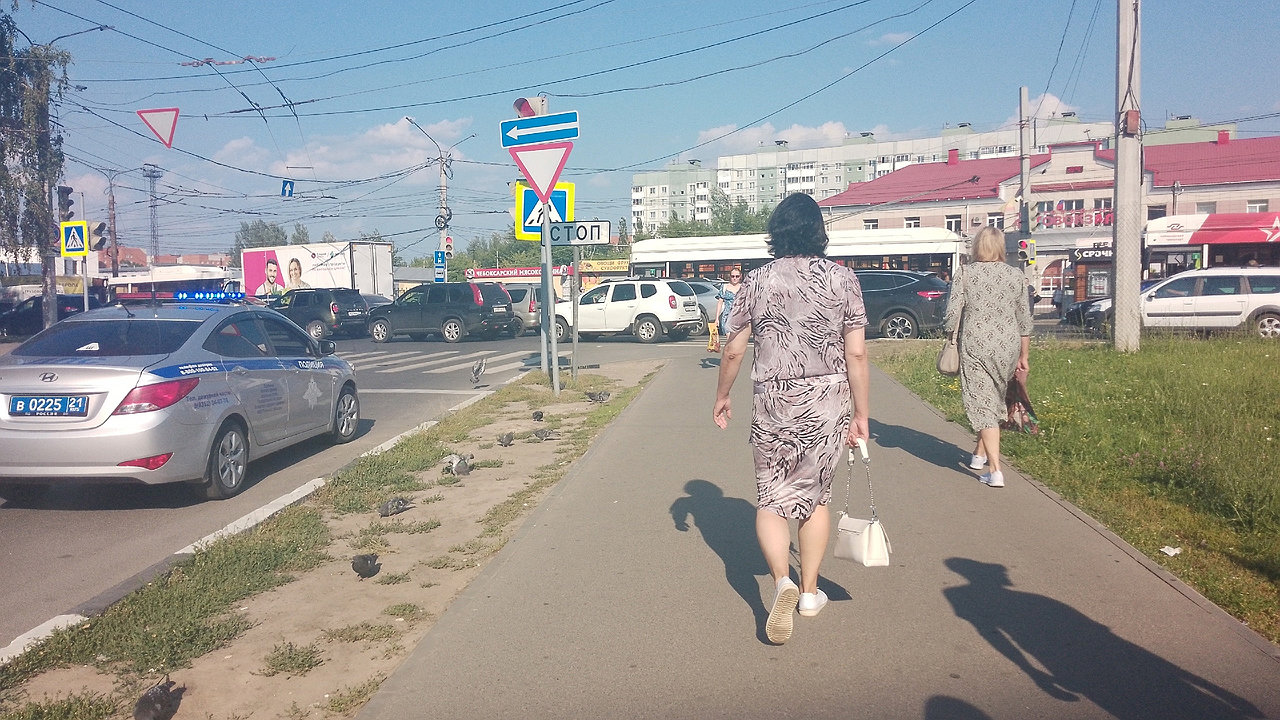 Главная картинка новости: «С 3 сентября будет бесплатно для всех пенсионеров». Новая льгота вводится и радует людей