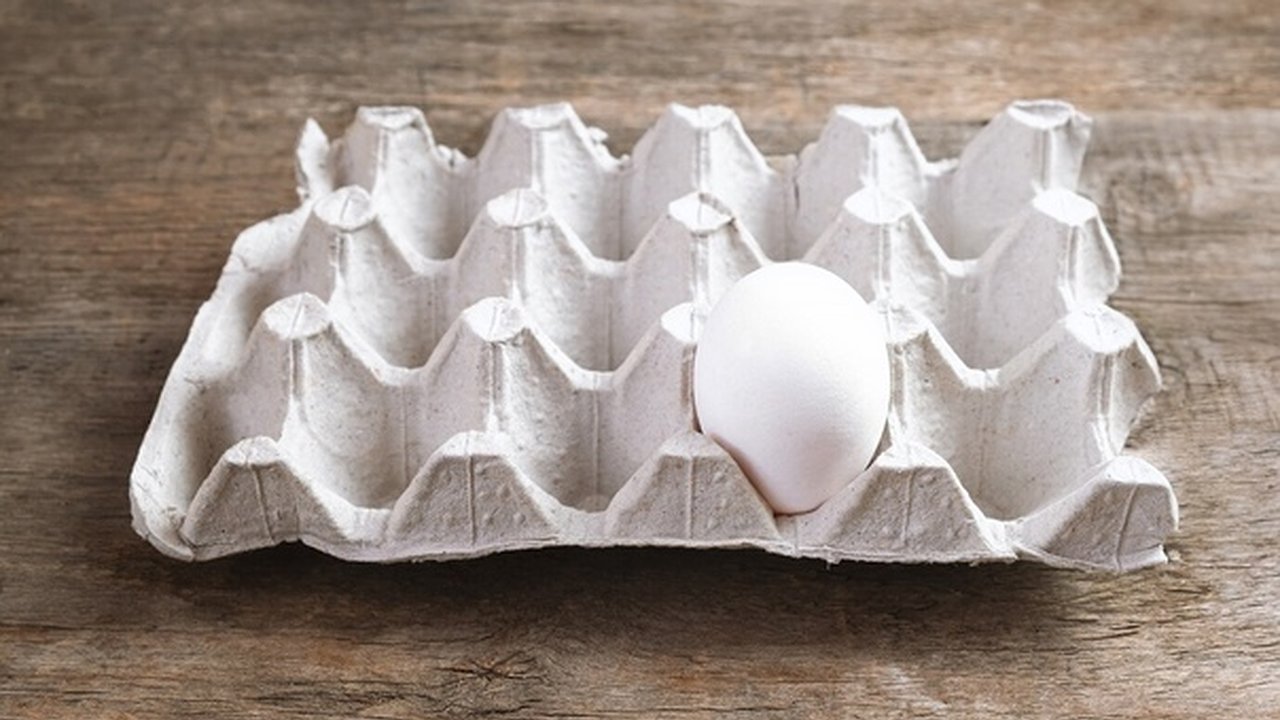 Главная картинка новости: Лотки от яиц не выкидываю — они дороже всех богатств на свете: использую для дома уже осенью — без этого никак