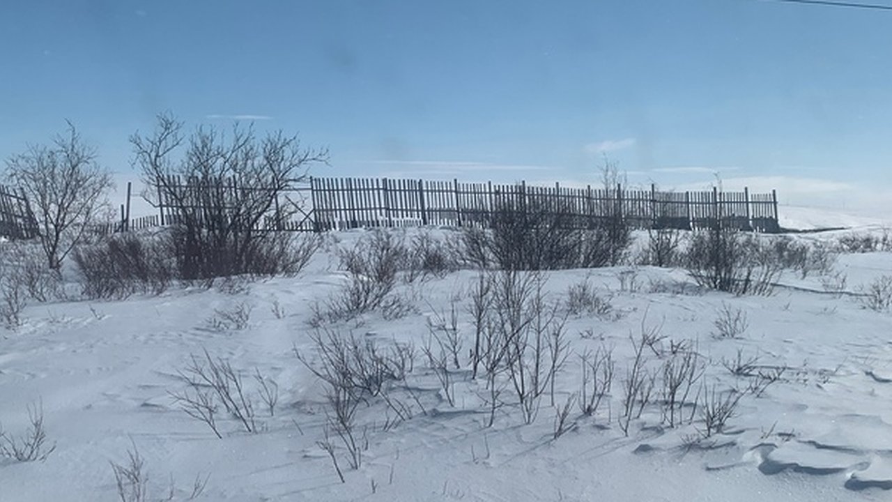 Главная картинка новости: Даже не верится, что так быстро: синоптики назвали точную дату, когда выпадет снег