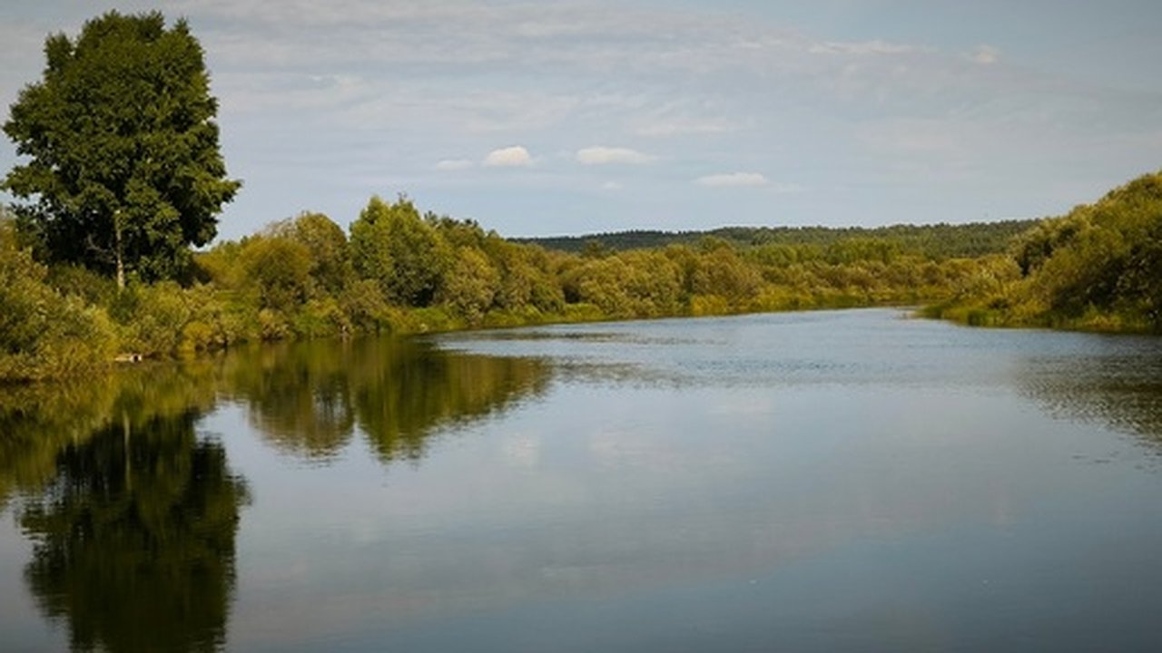 Главная картинка новости: В Калужской области очистили русло реки Лужа