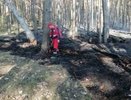 Пожар в лесу у деревни Белая: причины, последствия и мнения жителей