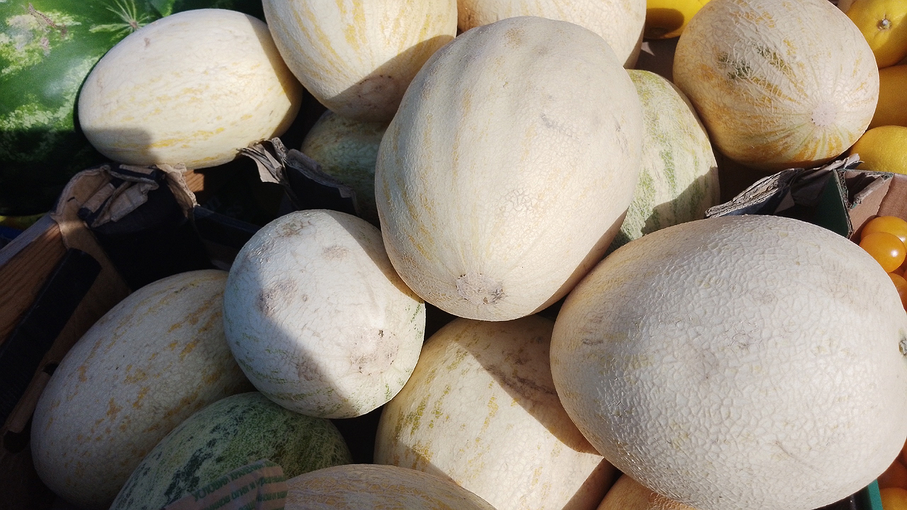 Главная картинка новости: Прекратите хлопать их по попке: всего одно действие и вы 100% выберете сладчайшую дыню, которая тает во рту