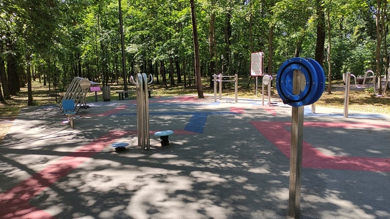 Главная картинка новости: От беговых троп к армрестлингу: новый спортивный вызов для калужан