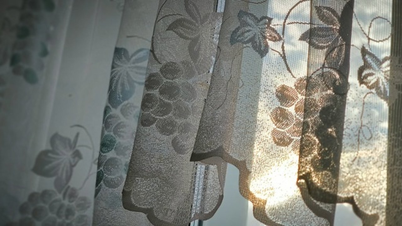 Главная картинка новости: Силы ПВО за ночь уничтожили 125 дронов над семью регионами