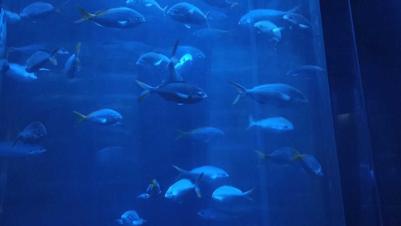 Главная картинка новости: В Калуге разыграли Кубок по рыбной ловле спиннингом с берега 