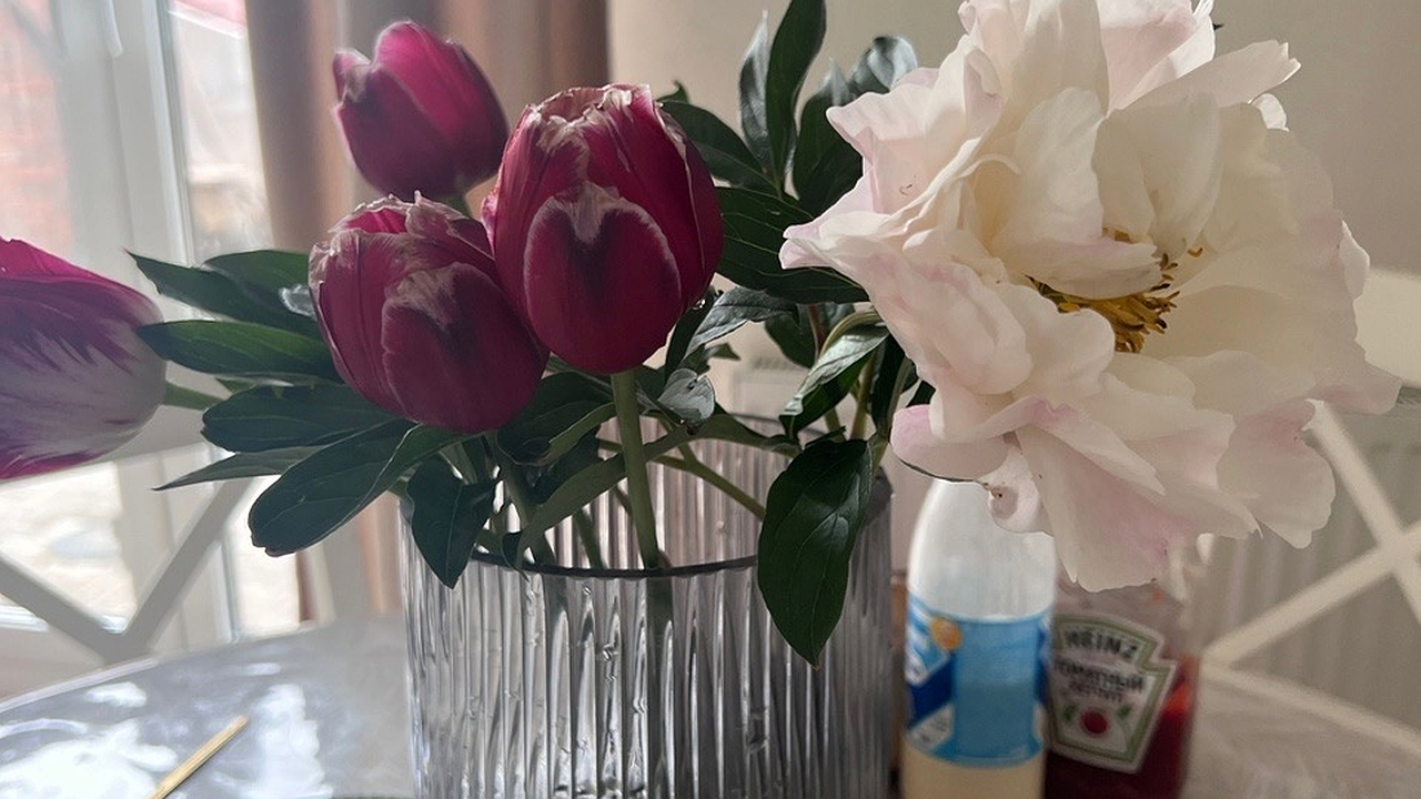 Главная картинка новости: Высасывают все силы и здоровье: три растения-вампира, которые не советуют держать дома