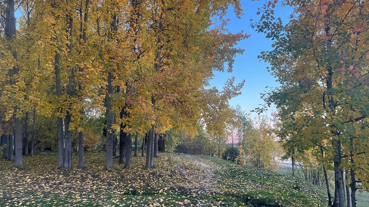 Главная картинка новости: В Калугу пришла настоящая осень: синоптики дали прогноз на выходные