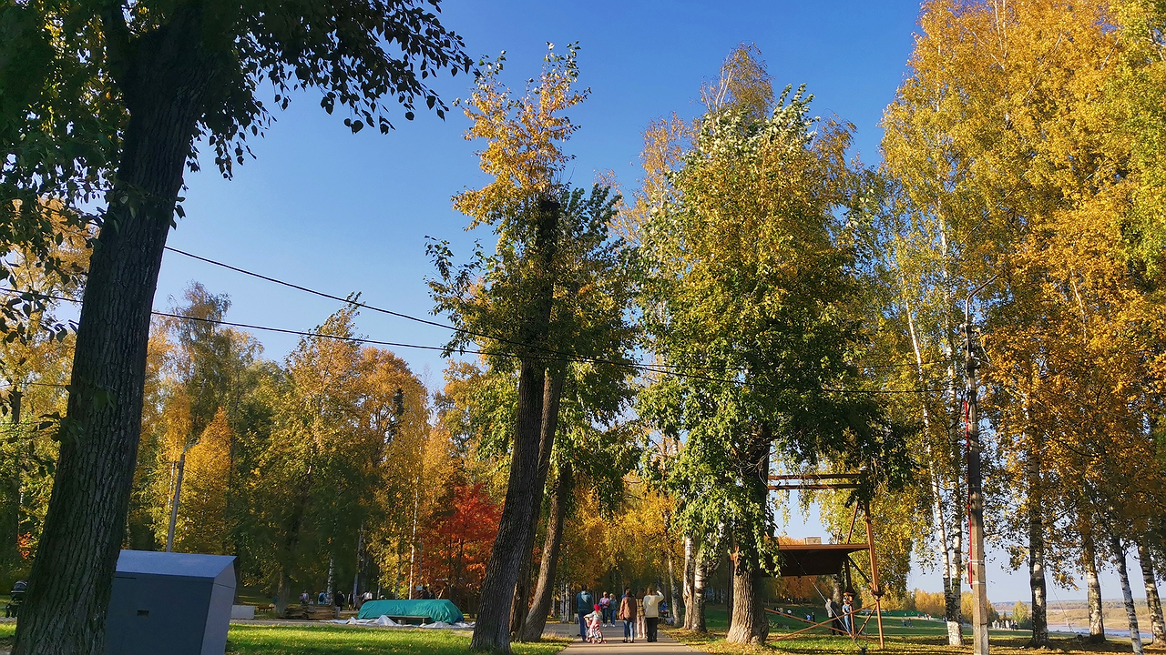 Главная картинка новости: У умных людей всегда есть именно эта цифра в дате рождения: немедленно проверьте свою