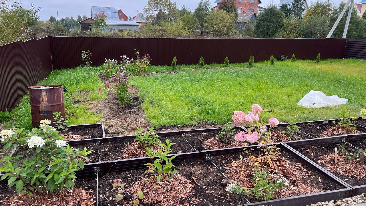 Главная картинка новости: Лучше тонны навоза: посыпьте почву этим продуктом из кухни, и вас удивит богатый урожай