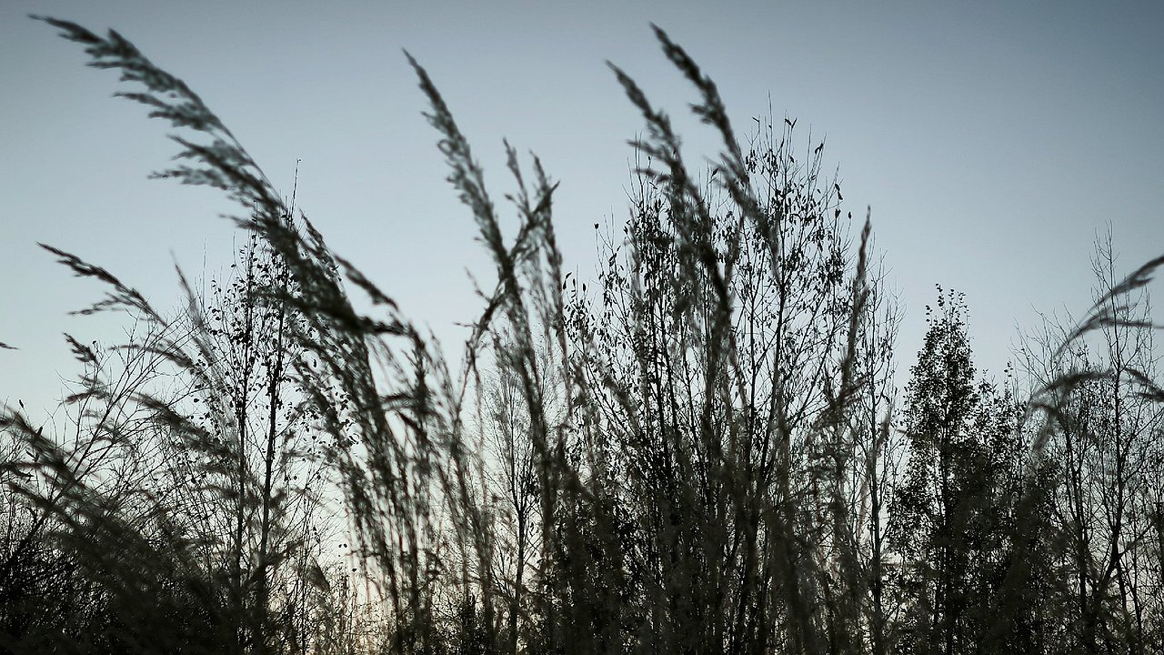 Главная картинка новости: В России за сутки потушили 22 природных пожара