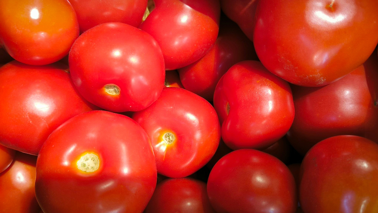 Главная картинка новости: Мечтал о таких томатах и вот наконец-то нашел: пять сортов, которые растут сами по себе – посадил и забыл