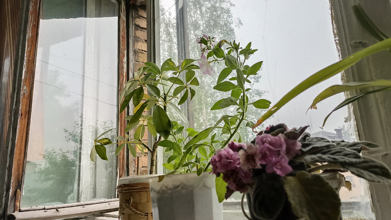 Главная картинка новости: С 17 октября запретят установку пластиковых окон: придется забыть о замене - нюансы