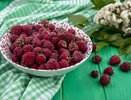 Чем подкормить малину после 17 октября – тазы ломятся через края в следующий сезон