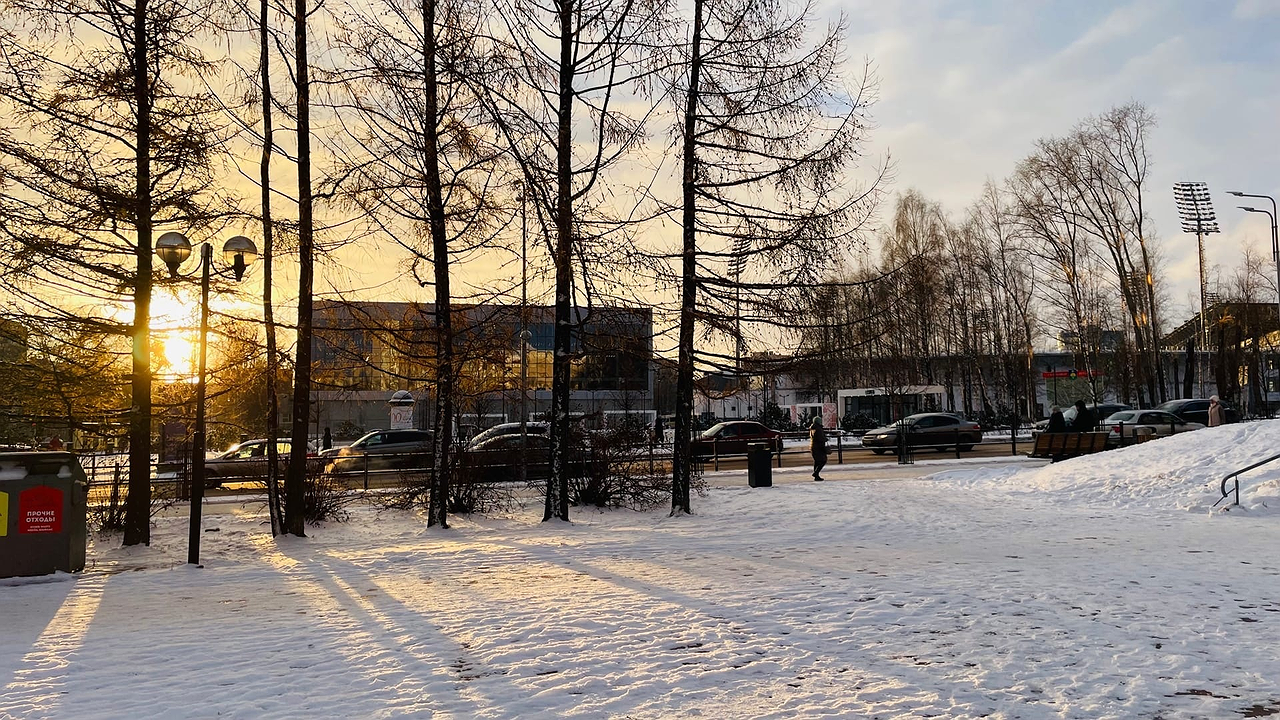 Главная картинка новости: Какие 4 привычки говорят о высоком интеллекте человека: психологи по ним определяют гениев один на миллиард