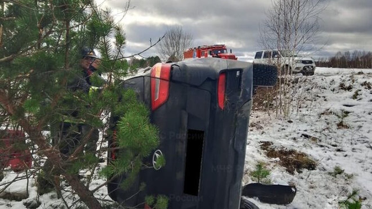 Главная картинка новости: В Людиновском районе в ДТП травмы получили пять человек