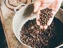 "Не берите эти помои даже по огромной скидке": названы бренды кофе, которые следует обходить стороной
