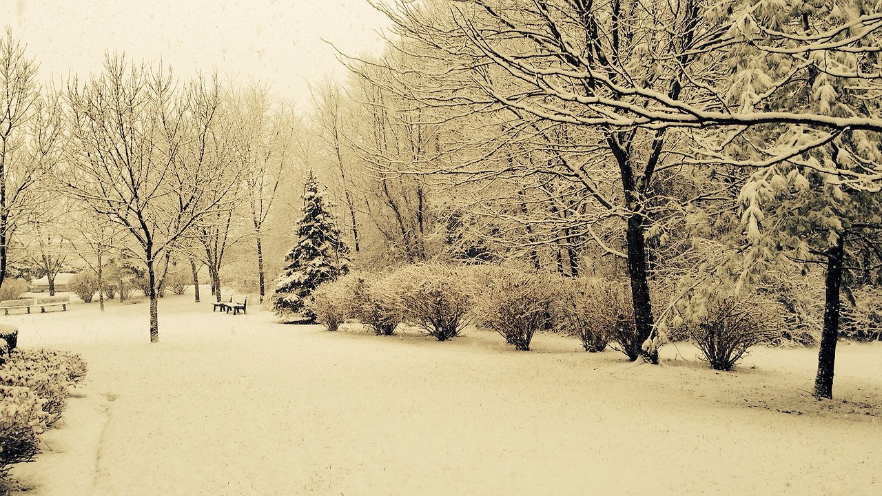 Главная картинка новости: В Калужской области 16 ноября изменится погода. Что говорят синоптики