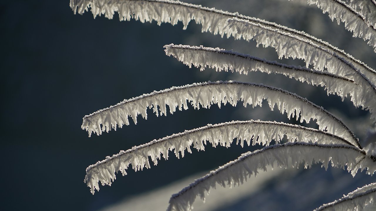 Главная картинка новости: Жителям Калужской области стоит приготовиться. Синоптики озвучили новый прогноз погоды на 20 ноября