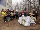 Калужане собрали более 250 кг отходов на улице Московской в рамках экосубботника 