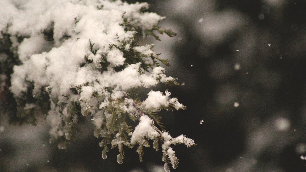 Главная картинка новости: Жителей Калужской области не порадует погода 26 ноября