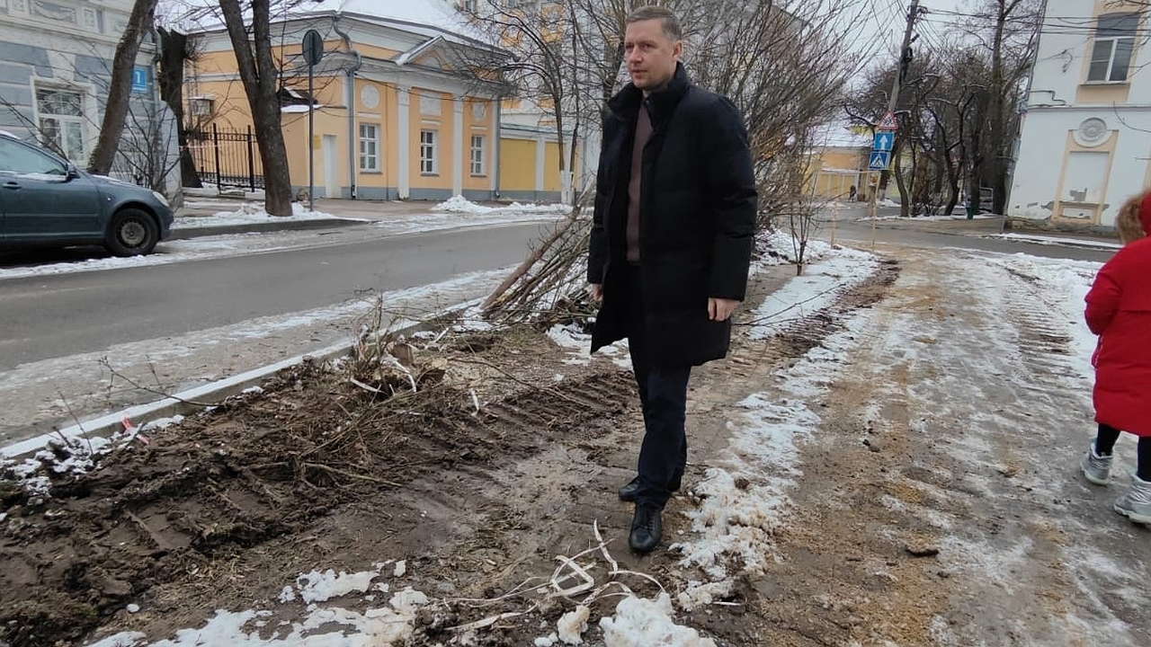 Главная картинка новости: В Калуге коммунальщики уничтожили молодые деревья, посаженные горожанами