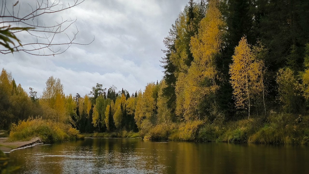 Главная картинка новости: В Калужской области с берегов рек вывезли свыше 600 кубометров мусора